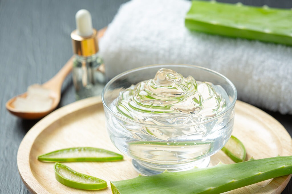 Lire la suite à propos de l’article Plonge dans l’univers enchanté de l’Aloe Vera